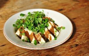 麻醬拌豆腐 麻醬拌豆腐