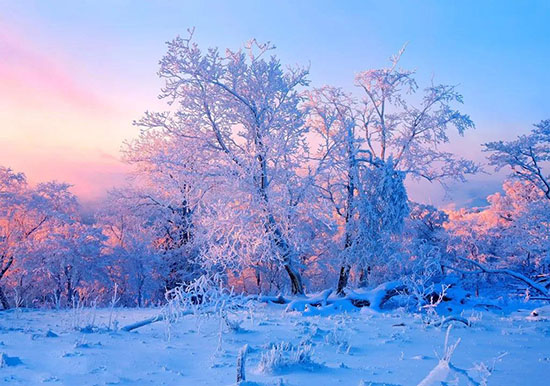 2018下半年散心地圖,好想找個時間出走幾天!