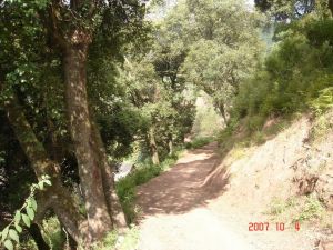 鳳山自然村 鳳山自然村
