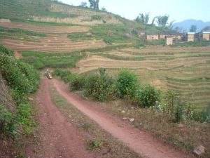 棠梨箐村 棠梨箐村