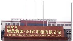 河南諸美種豬場 河南諸美種豬場