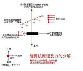 原理[漢語詞語]