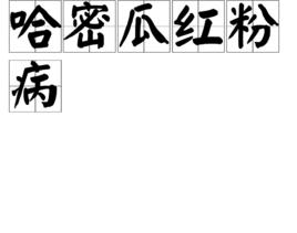 哈密瓜紅粉病 哈密瓜紅粉病