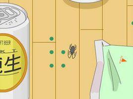 堅強的小強 堅強的小強