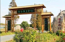 繆家村[浙江省杭州市蕭山區所前鎮繆家村]