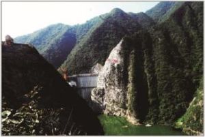 五台山林場 五台山林場