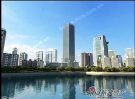 IFC國際金融中心 IFC國際金融中心