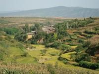 紅花新村 紅花新村