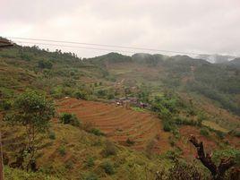 黃桑樹自然村 黃桑樹自然村