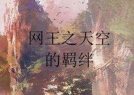 網王之天空的羈絆 網王之天空的羈絆