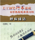 美工鋼筆行書速成自學教程配套練習貼呼應成語 美工鋼筆行書速成自學教程配套練習貼呼應成語