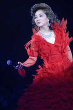 徐小鳳2006演唱會