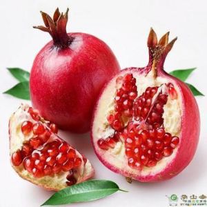 石榴皮提取物 石榴皮提取物