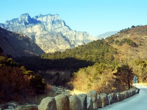 五佛山森林公園