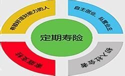 可轉換定期壽險 可轉換定期壽險