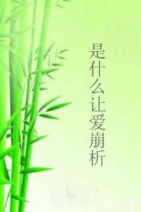 是什麼讓愛崩析 是什麼讓愛崩析