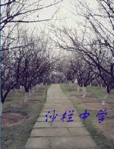 沙欄中學 沙欄中學