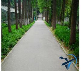 諾之舟國小 諾之舟國小