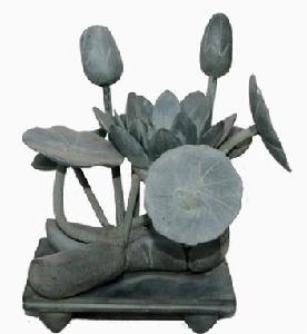 石蓮花，高25厘米，寬25厘米