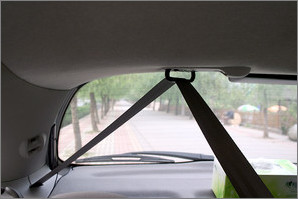 （圖）薩拉畢卡索