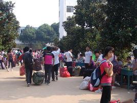 牛集高級職業中學 牛集高級職業中學