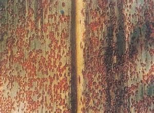 高粱鏽病 高粱鏽病