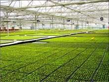 傳化集團有限公司