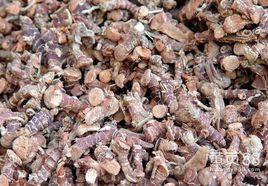 高良姜提取物 高良姜提取物