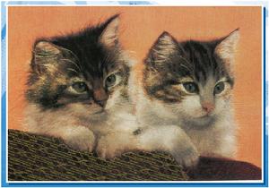 ·中國四大名繡——蘇繡 《雙面繡》