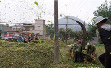 青貯飼料的粉碎過程