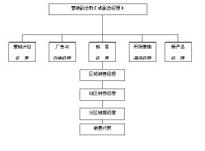 產品管理型組織 產品管理型組織