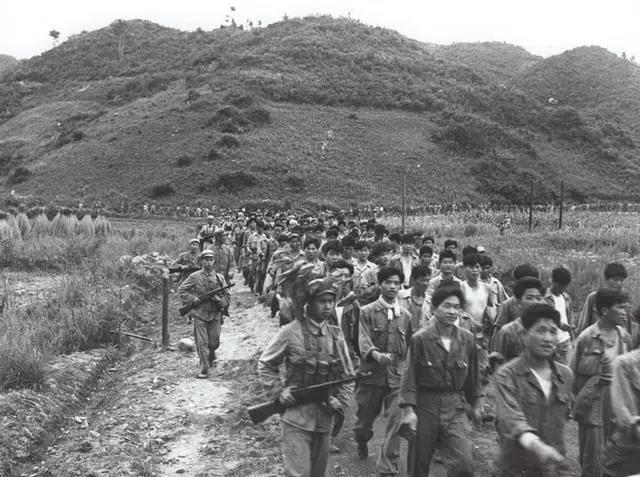 (被志願軍俘獲的南韓軍)