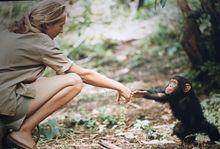 上海環球金融中心重要活動