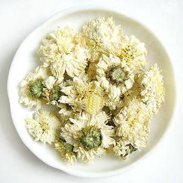 黃山貢菊 黃山貢菊