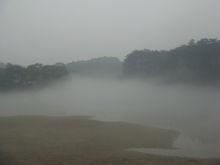 廣西生態工程職業技術學院