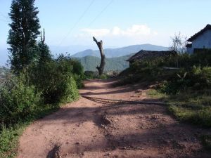復興竹林村 復興竹林村