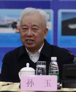 孫玉[軍事通信技術專家]