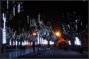 金鄉文峰中學 金鄉文峰中學