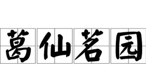 葛仙茗園 葛仙茗園