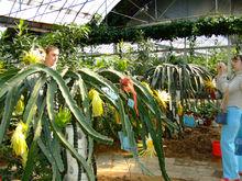 北戴河集發生態農業觀光園