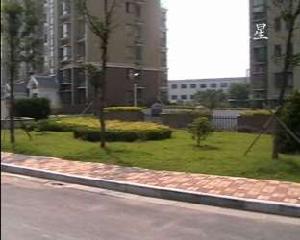 北苑之星 北苑之星