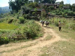 團山窪子寨自然村