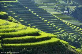 水平梯田 水平梯田