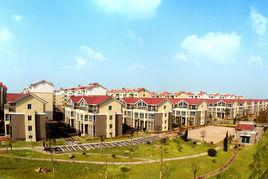 晨東小區 晨東小區