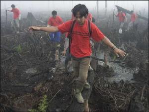 志願者走在被砍伐的廢墟之上