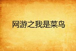 網遊之我是菜鳥 網遊之我是菜鳥