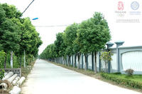 海寧大道 海寧大道