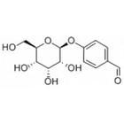 豆腐果甙 豆腐果甙