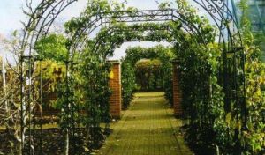 延慶採摘度假園蘇莊 延慶採摘度假園蘇莊