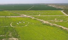 河南封丘：萬畝油菜花海醉遊人